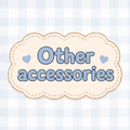Other Accessories